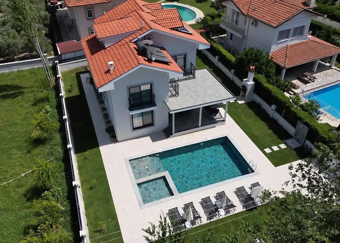 Willa Villa's Tomris *